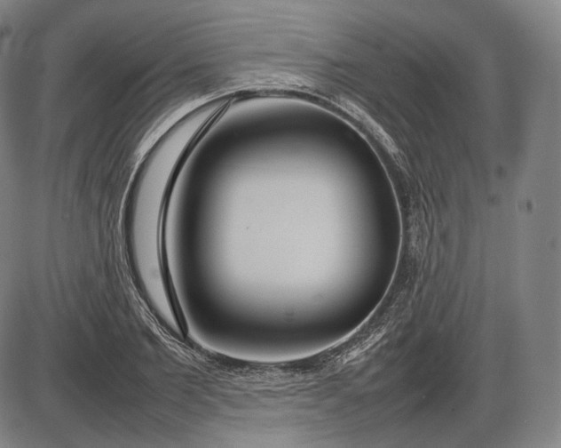 X0000085830885200703301616