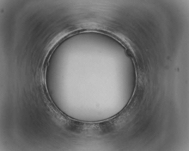 X0000085830887200703301616