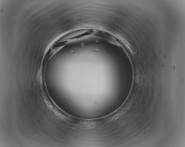 X0000085830888200703301616