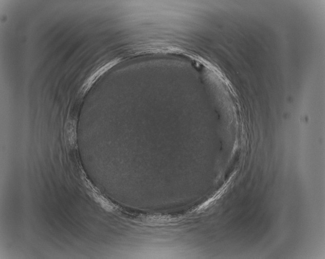 X0000085830889200703301616