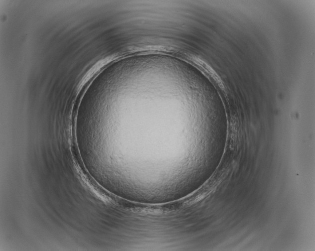 X0000085830890200703301616