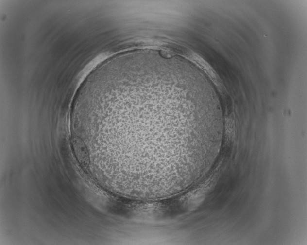 X0000085830891200703301616