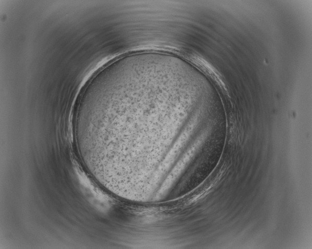 X0000085830892200703301616