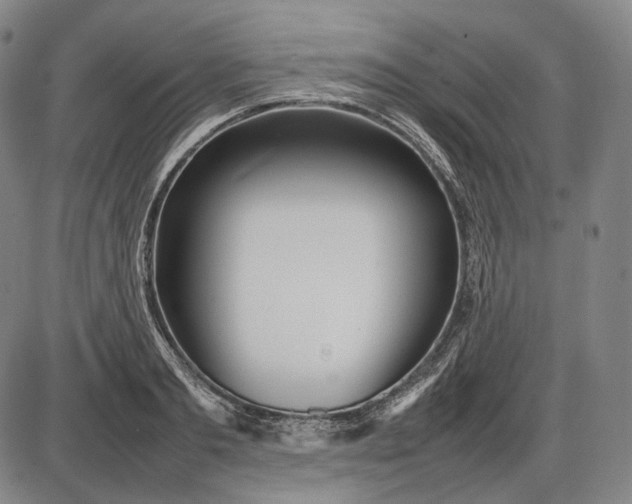 X0000085830893200703301616