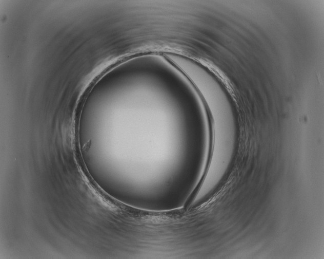 X0000085830894200703301616