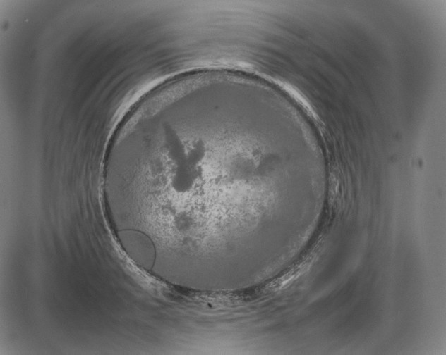 X0000085830895200703301616