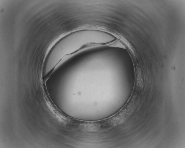 X0000085830896200703301616