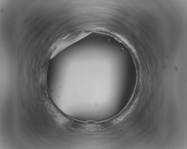 X0000085830897200703301616