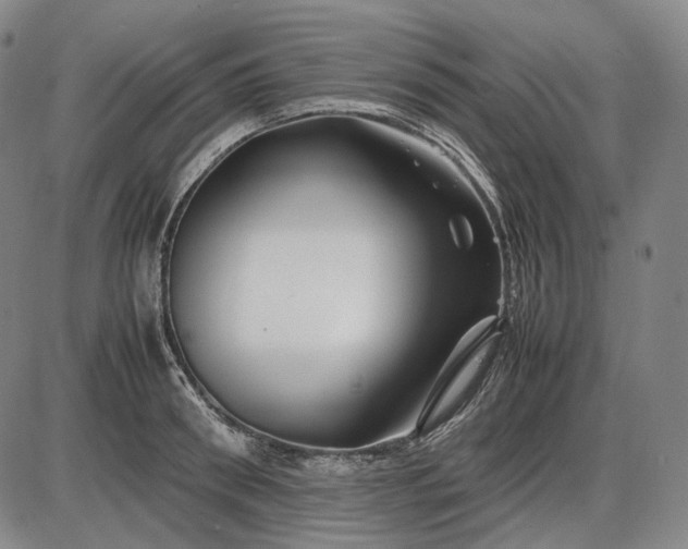 X0000085830898200703301616