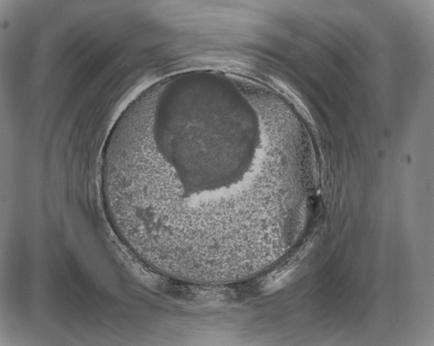 X0000085830899200703301616