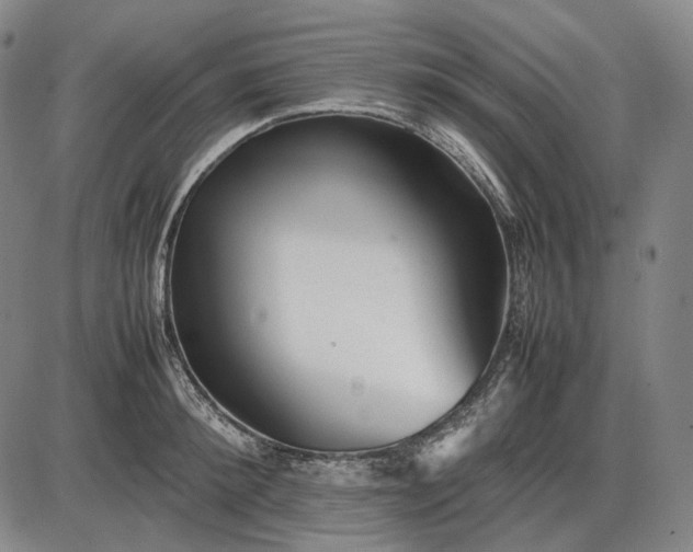 X0000085830900200703301616