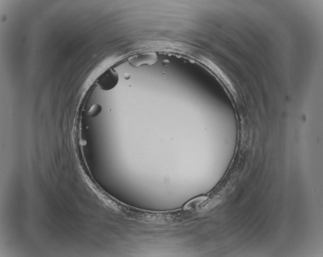 X0000085830901200703301616