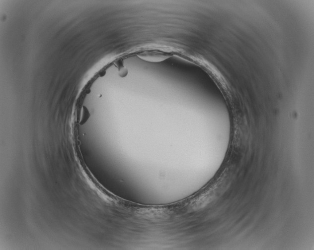 X0000085830902200703301616