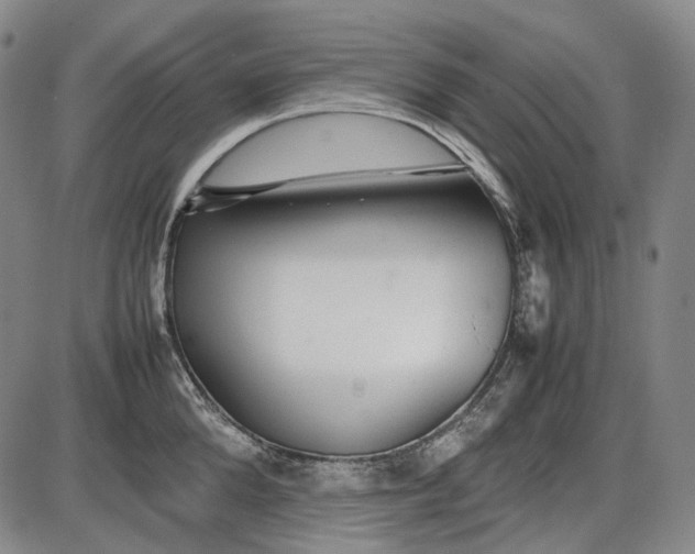 X0000085830904200703301616