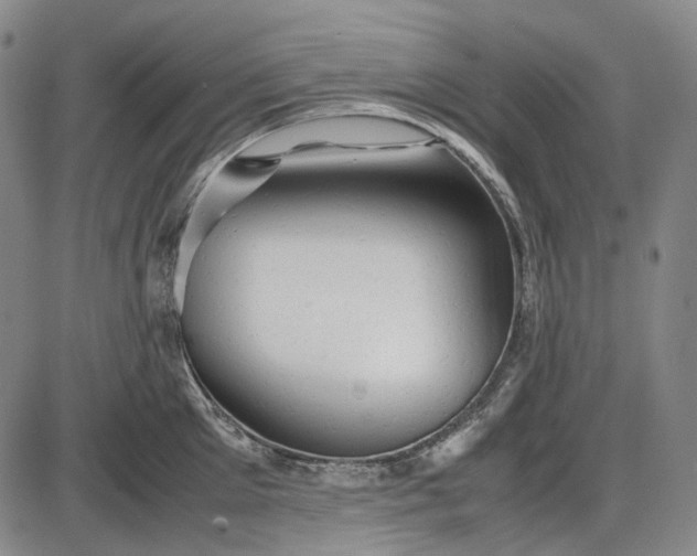 X0000085830905200703301616