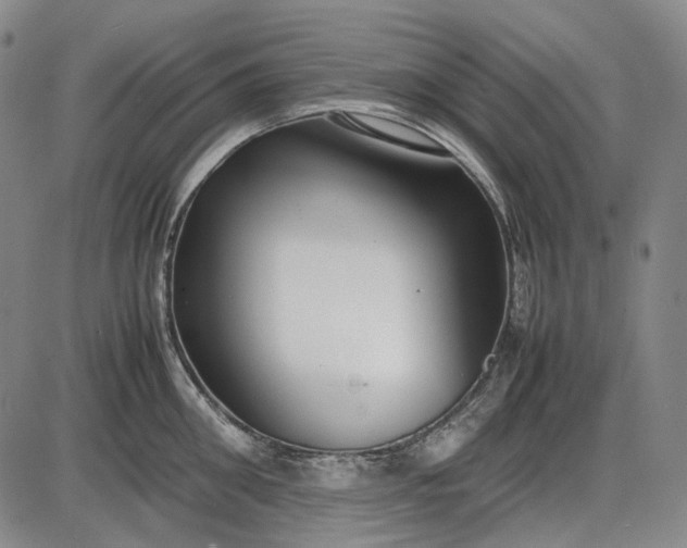 X0000085830906200703301616