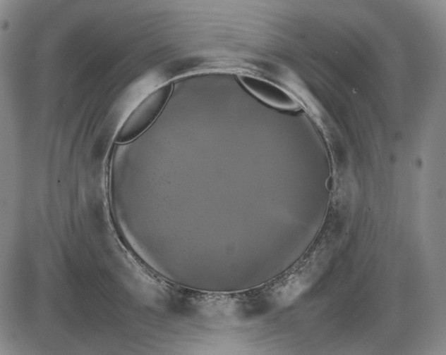 X0000085830907200703301616