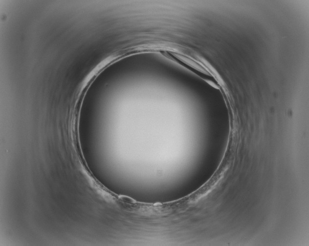 X0000085830909200703301616