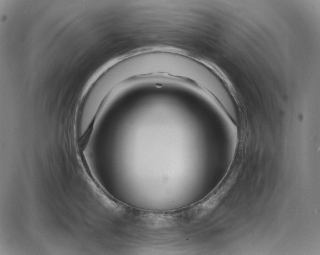 X0000085830910200703301616