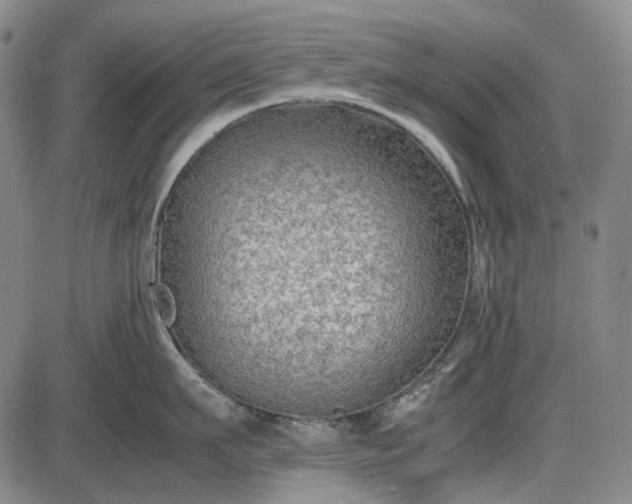 X0000085830911200703301616