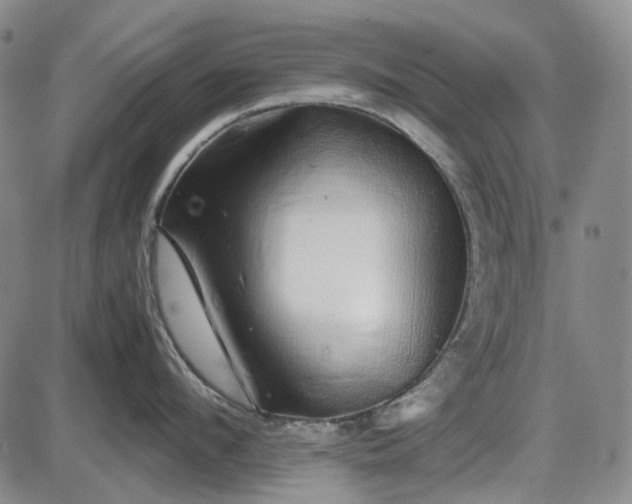 X0000085830912200703301616