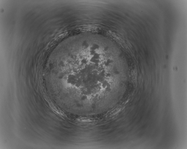 X0000085830913200703301615