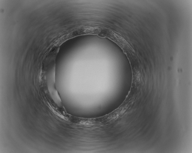 X0000085830914200703301615