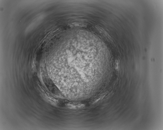 X0000085830915200703301615