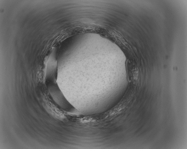 X0000085830916200703301615