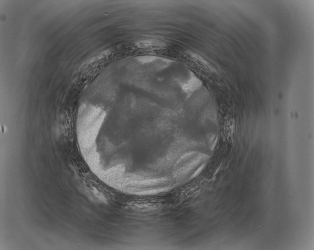 X0000085830917200703301615