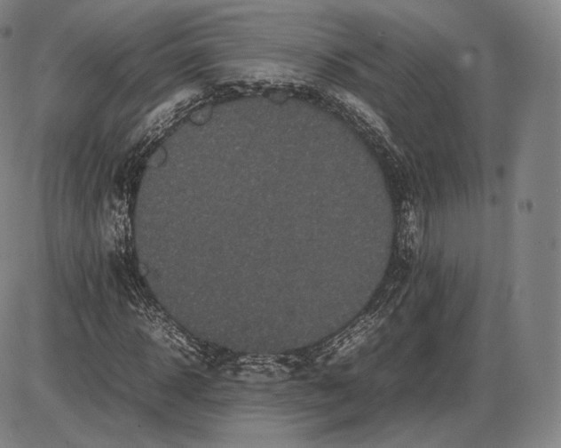 X0000085830918200703301615