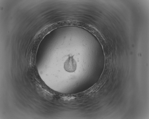 X0000085830919200703301615