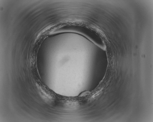 X0000085830920200703301615