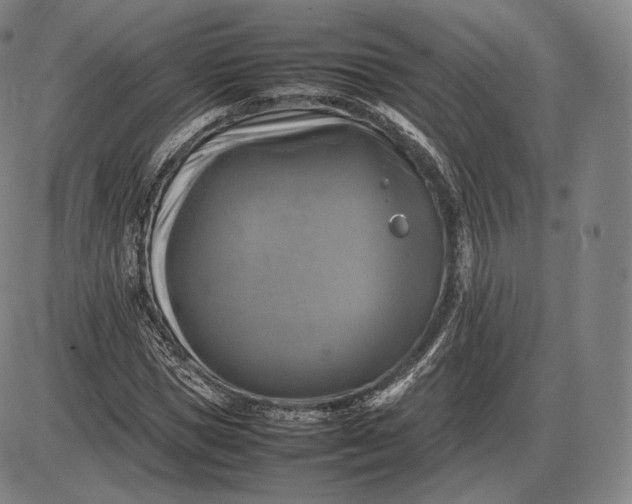 X0000085830921200703301615