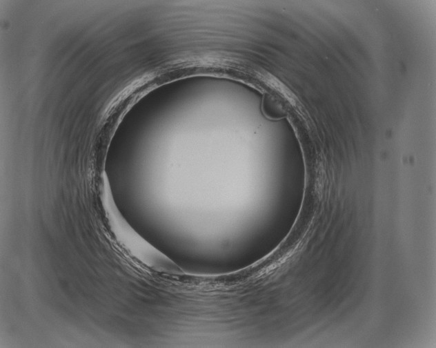 X0000085830922200703301615