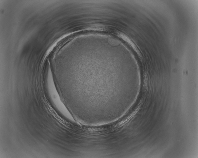 X0000085830923200703301615