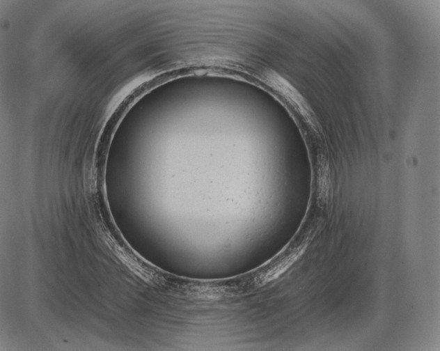 X0000085830924200703301615