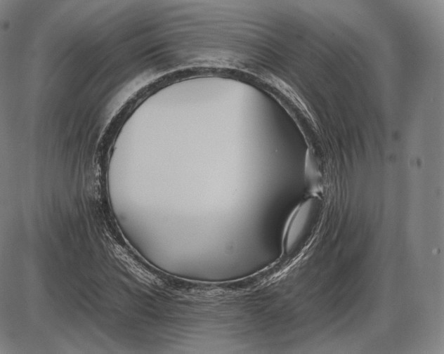 X0000085830926200703301615