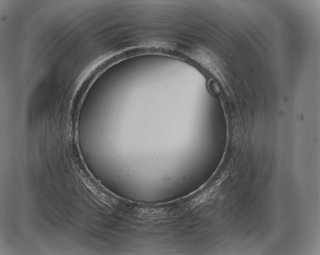 X0000085830927200703301615