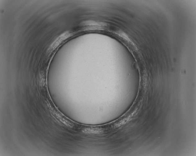 X0000085830929200703301615