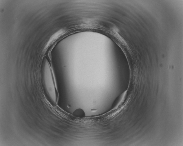 X0000085830930200703301615