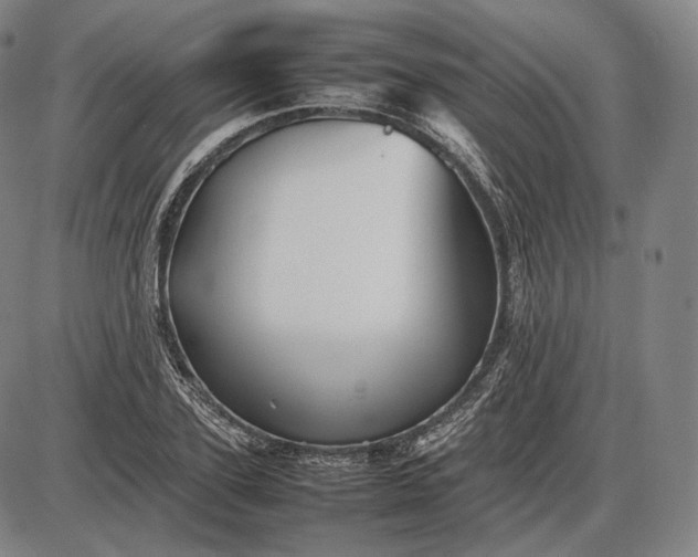 X0000085830931200703301615