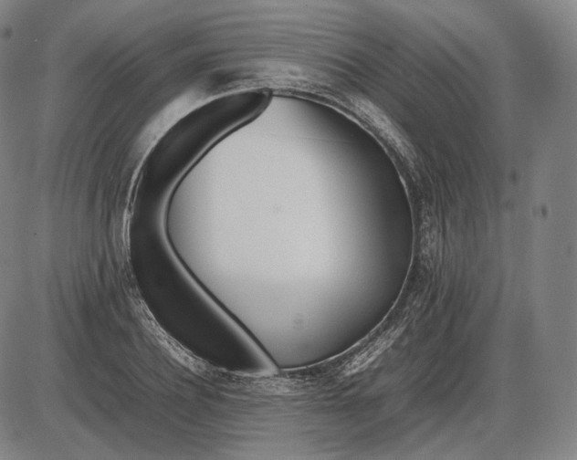 X0000085830932200703301615