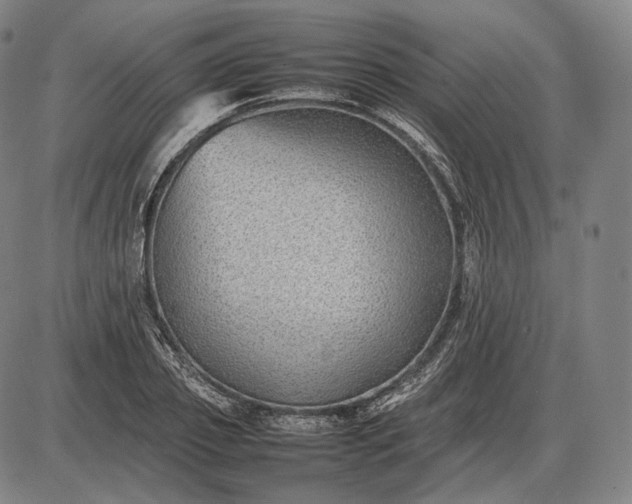 X0000085830933200703301615