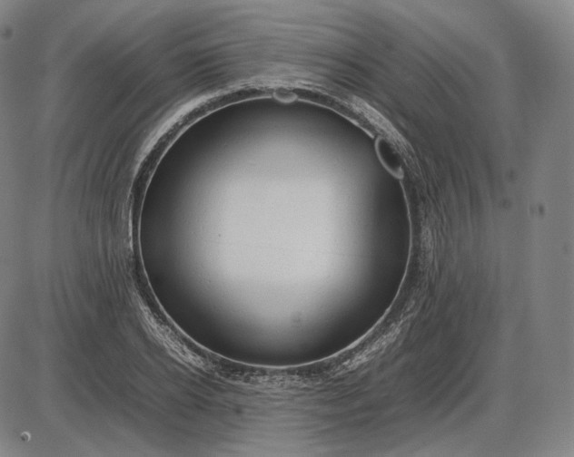 X0000085830934200703301615