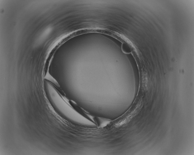 X0000085830935200703301615