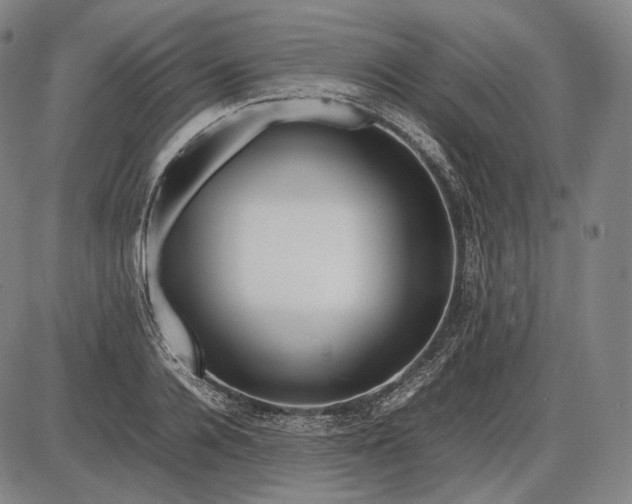 X0000085830936200703301615