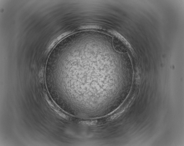 X0000085830937200703301615