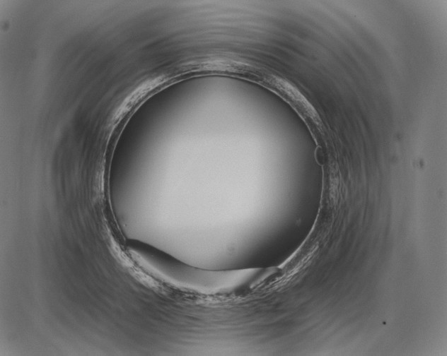 X0000085830938200703301615