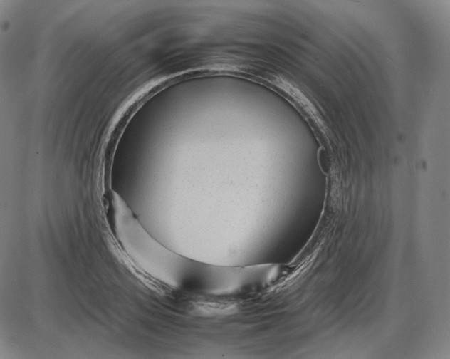 X0000085830939200703301615